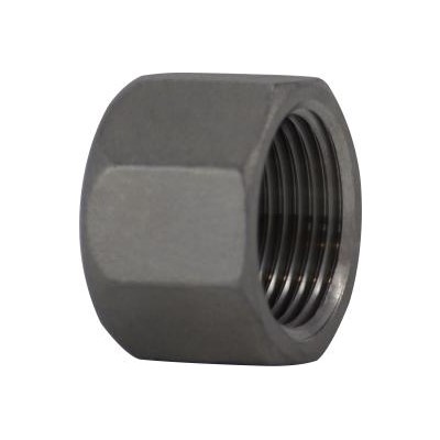 1/8 304 STAINLESS STEEL HEX CAP