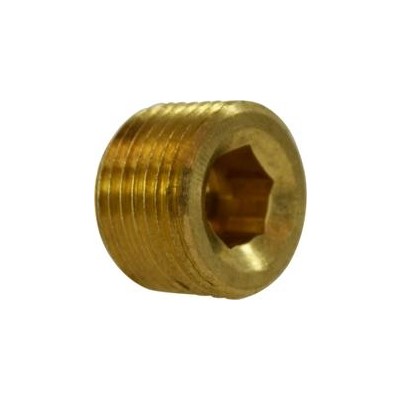 1/4 BRASS C/S HEX PLUG AB1953