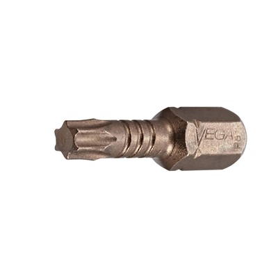 02125 IMPCTCH TORX 10 INSRT BIT X 1