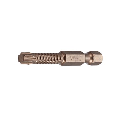 02076 IMPCTCH TORX 20 PWR BIT X 2 - CRD