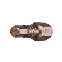 02154 IMPCTCH HEX 6MM INSRT BIT X 1