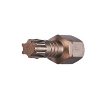 02125 IMPCTCH TORX 10 INSRT BIT X 1