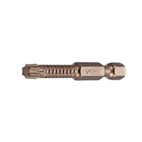 02076 IMPCTCH TORX 20 PWR BIT X 2 - CRD