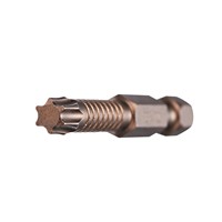 02076 IMPCTCH TORX 20 PWR BIT X 2 - CRD